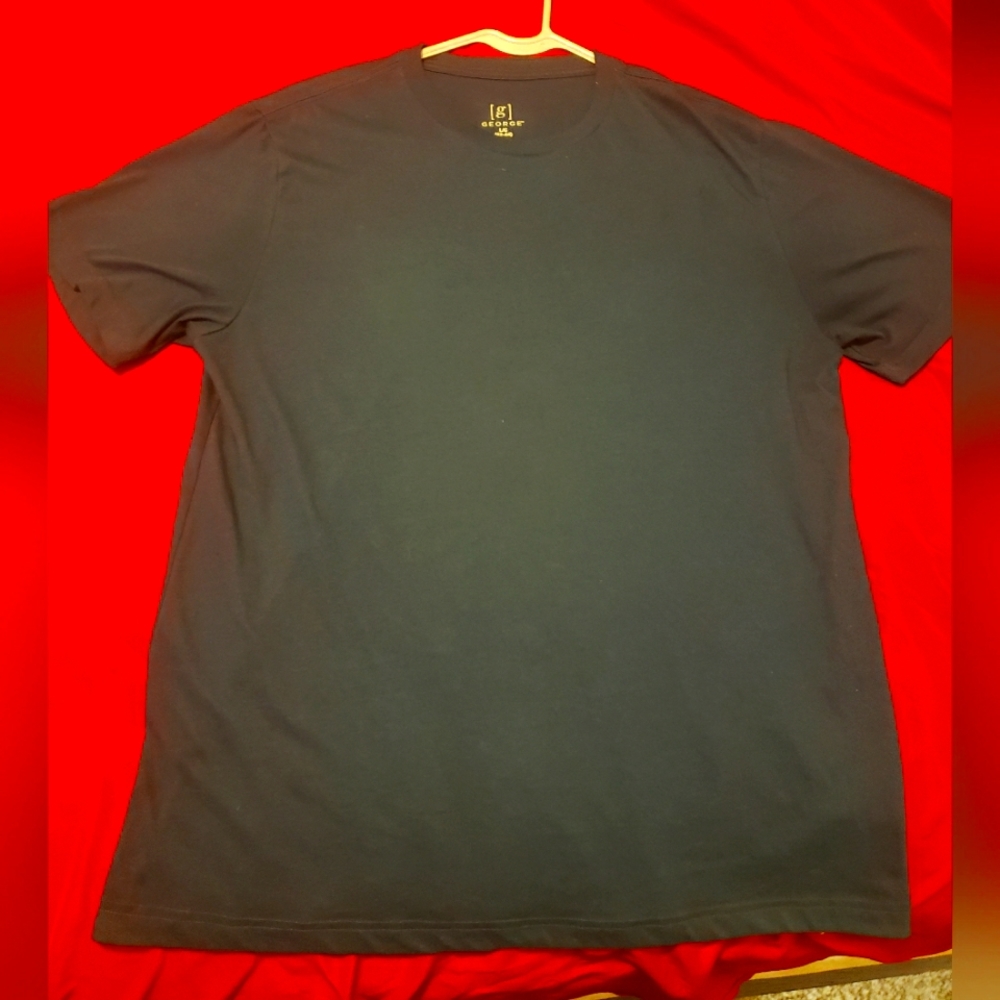 Blue tee shirt, L/G